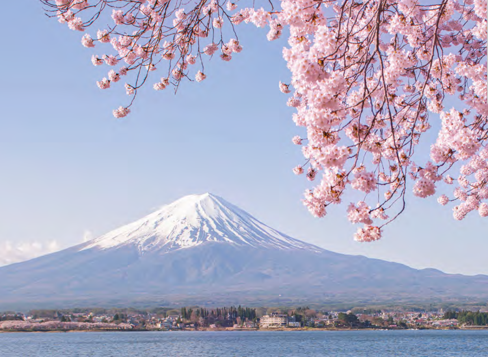 Mont Fuji et cerisiers en fleurs au Japon