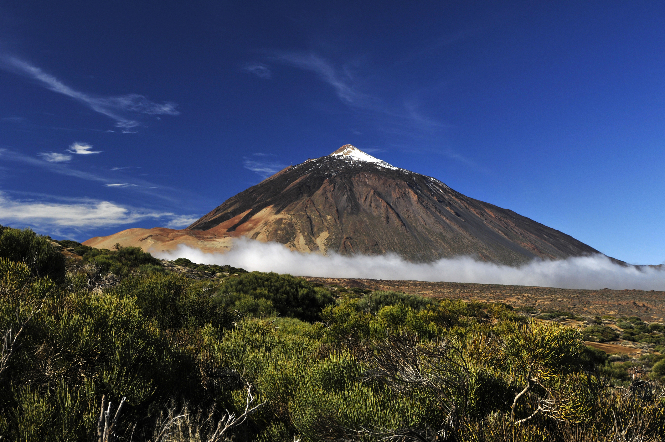 Nature à Tenerife