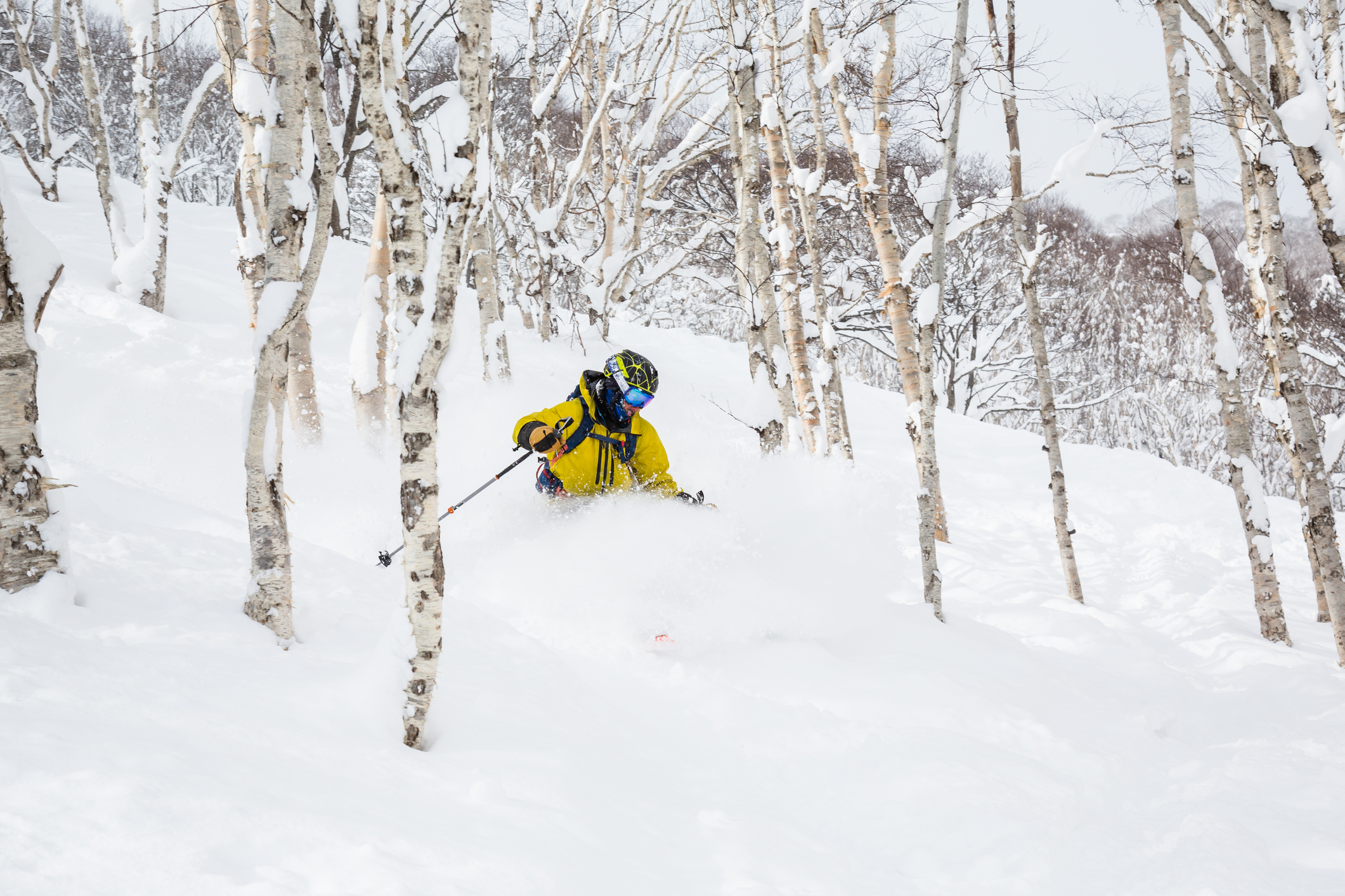 Poudreuse à Hokkaido