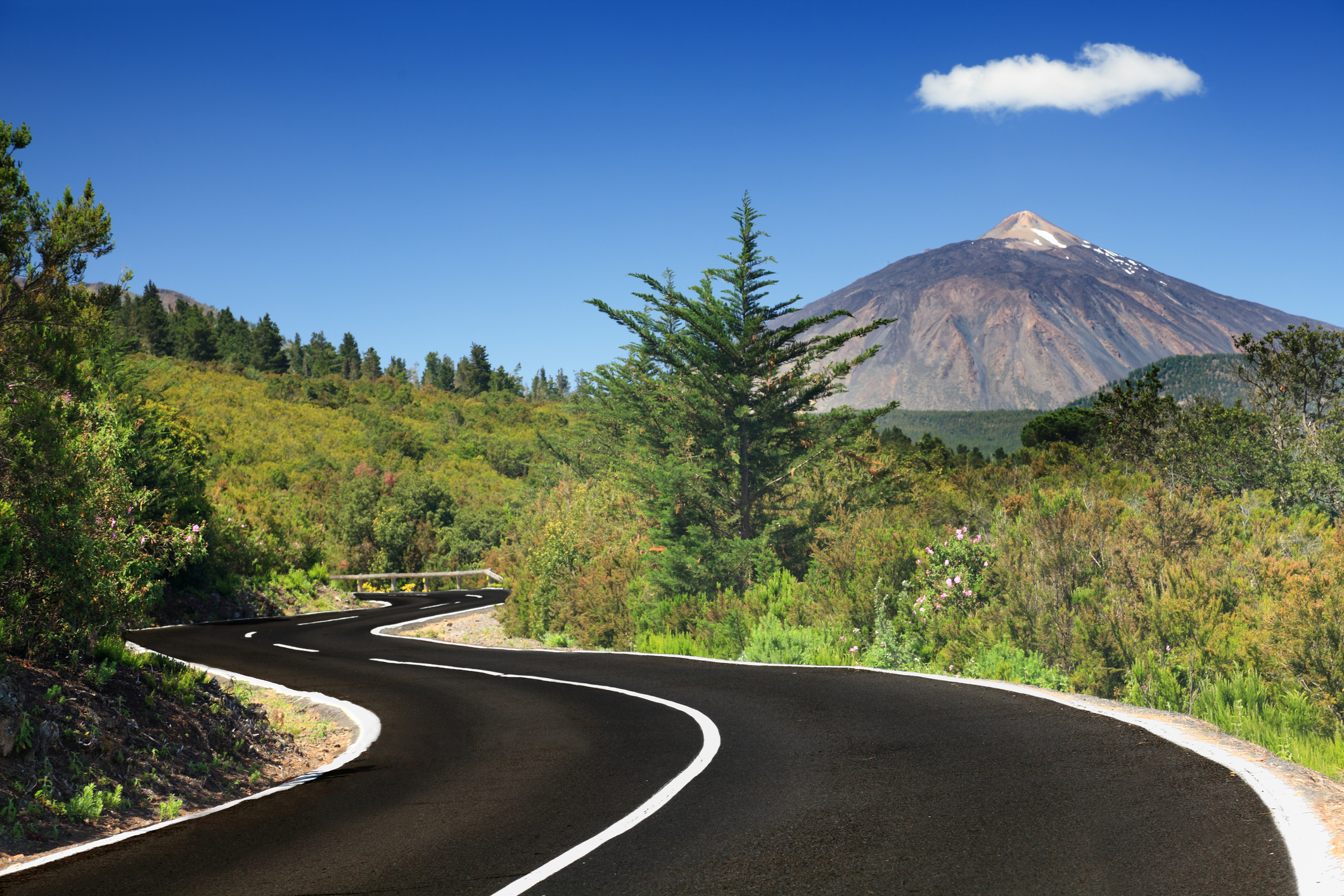 Paysage de Tenerife