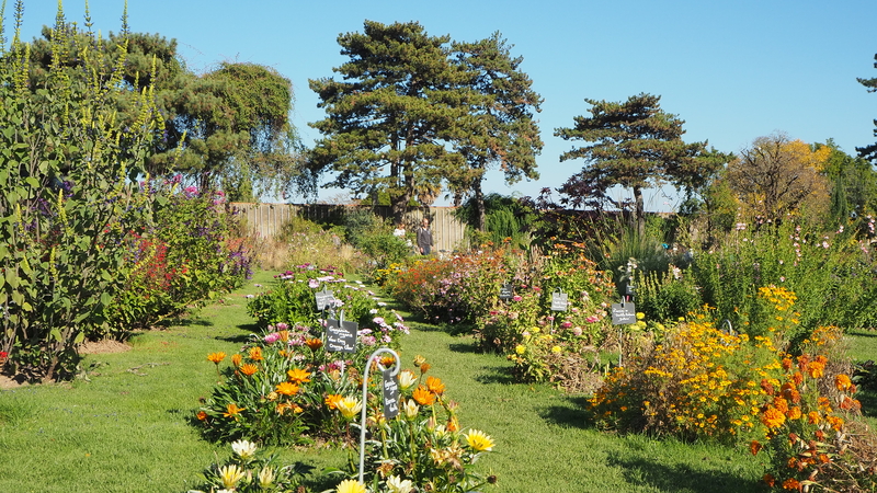 Jardin des Plantes de Nantes.