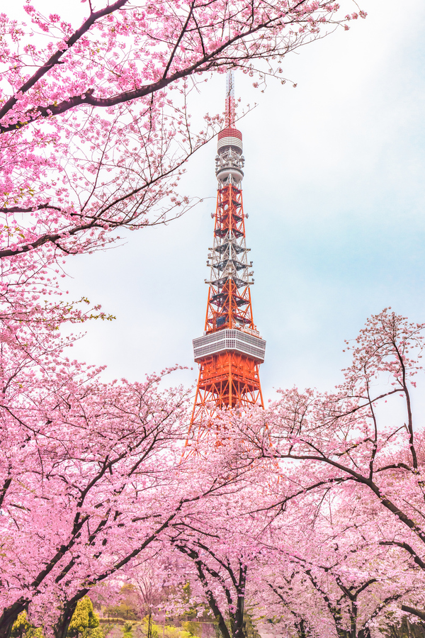 Tokyo Tower au printemps