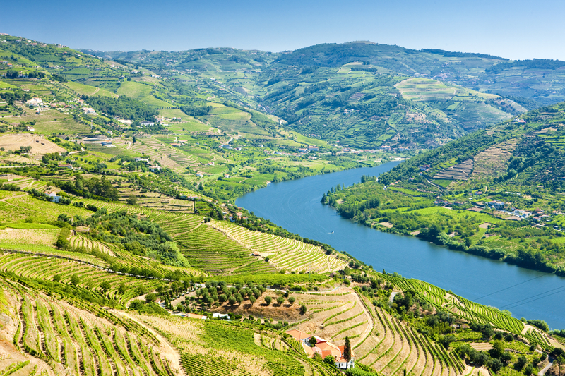 Vallée du Douro.