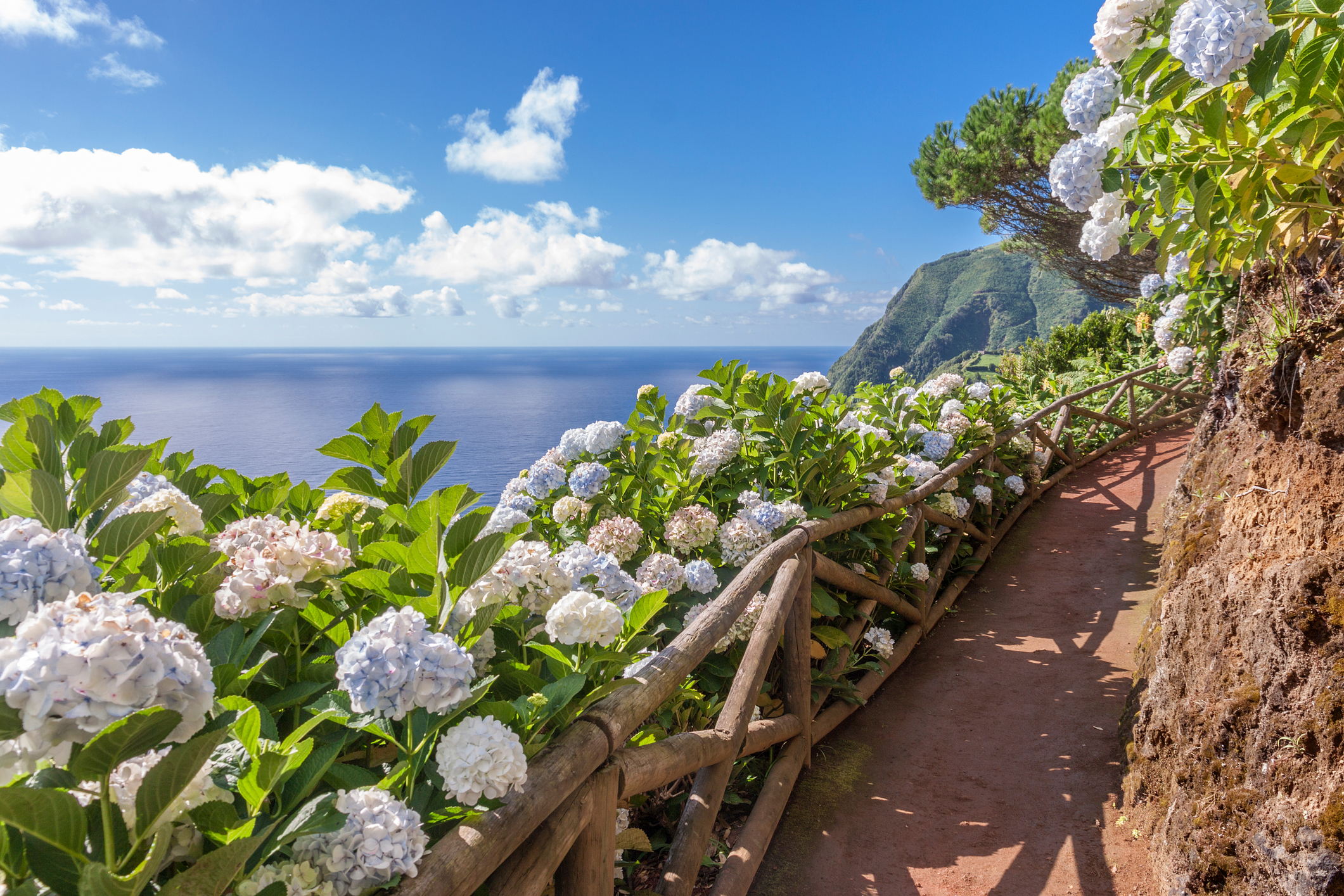 Falaises et océan aux Açores.