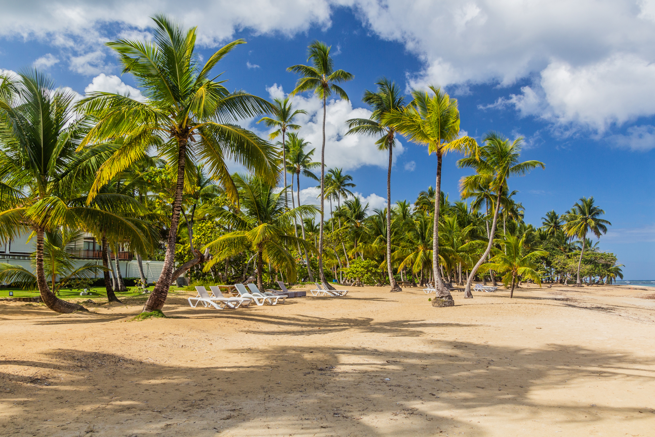 Plage de sable blanc de Las Terrenas, peninsule de Samana