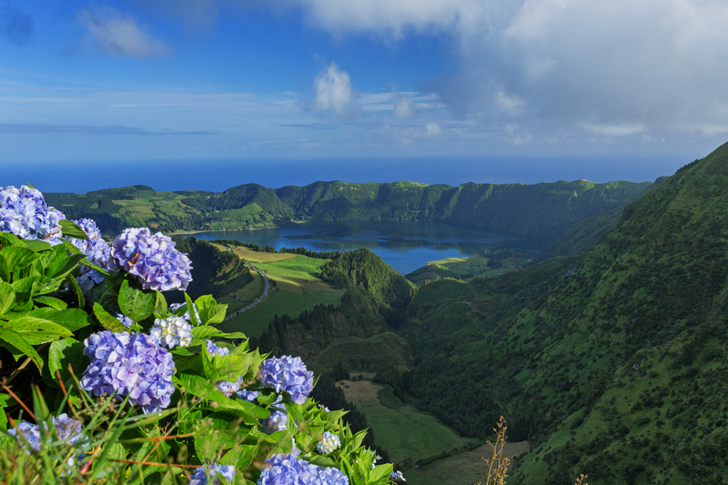 Falaises aux Açores.