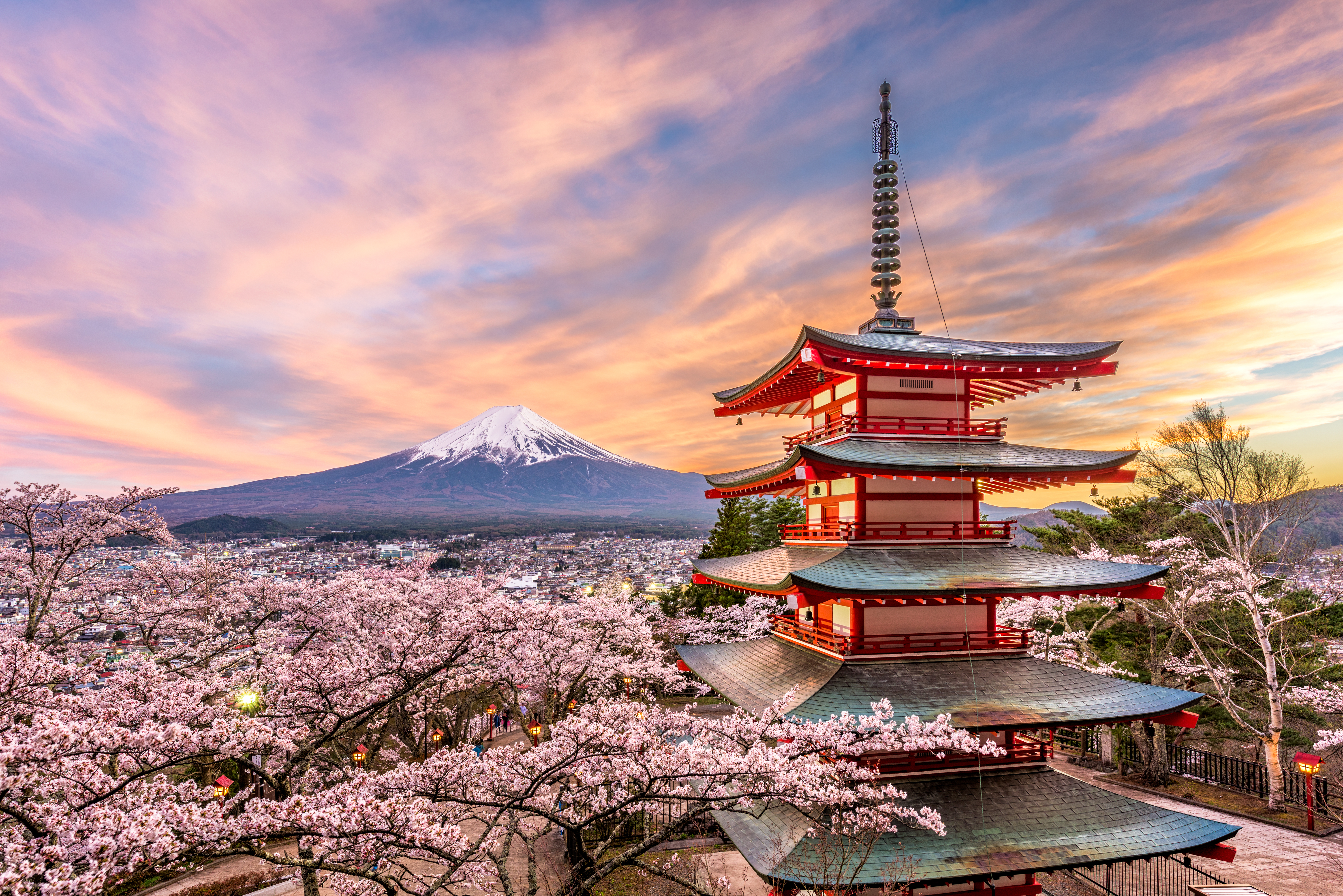Japon en fleurs avec vue sur le Mont Fuji