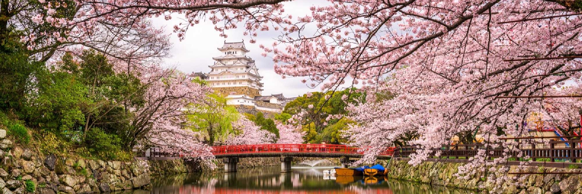 Japon