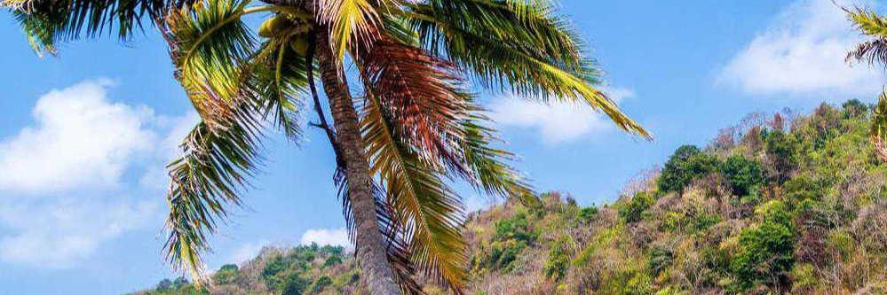 Panama