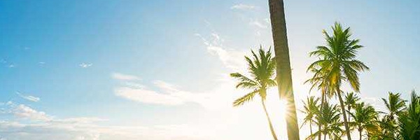 Punta Cana