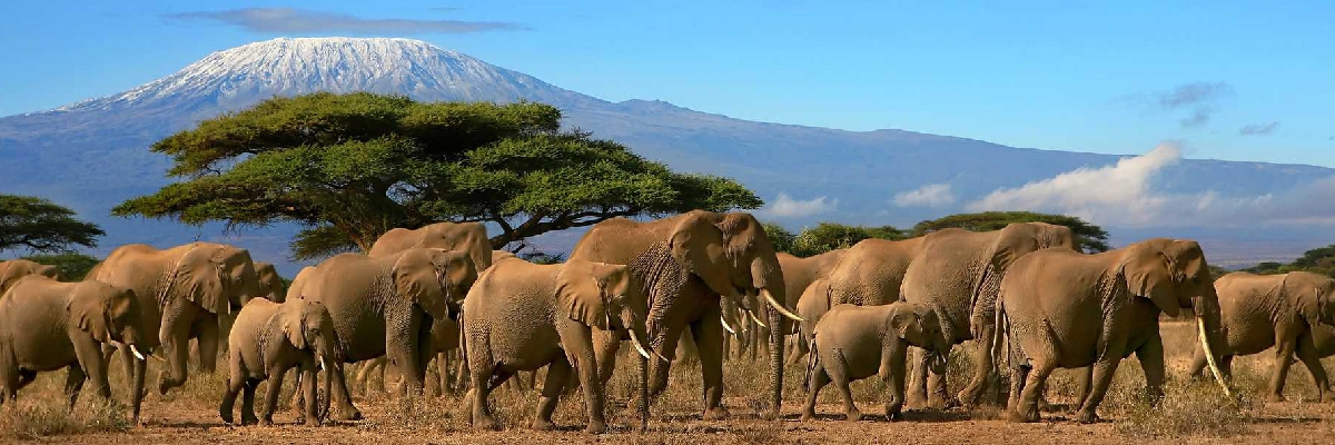 Kenya