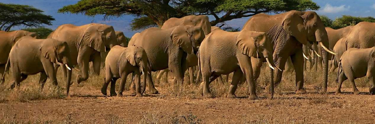 Kenya